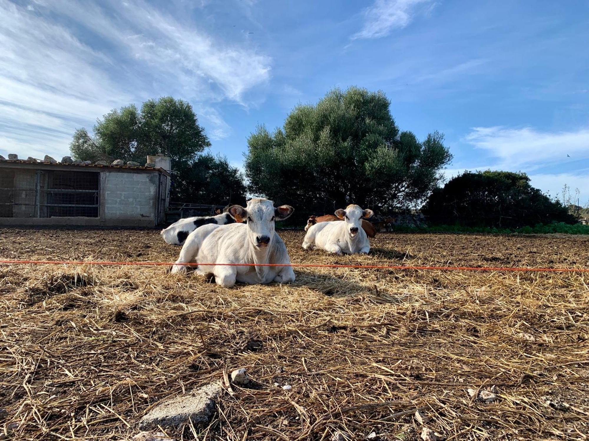 Cozzo Spadaro B&B Portopalo Di Capo Passero ภายนอก รูปภาพ